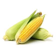 Corn Cob each