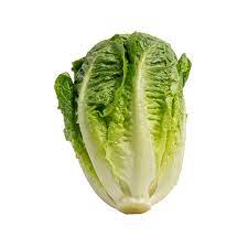 Cos Lettuce  1pk