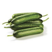 Cucumber Lebanese 3pk